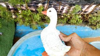 Cleaning toy cow, goose, dinosaur, chicken, duck, giraffe, zebra, pig 2