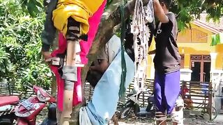 Regional Art "Long legs climb trees"