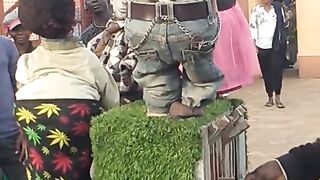 funny video 111