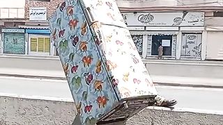 funny video #funny #video #viral