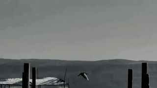 Beach dark vibes