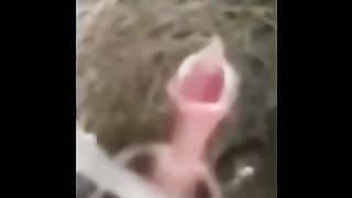 Funny Memes Videos ???? #3