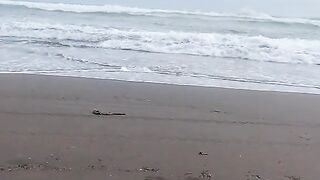 relax need a beach