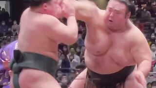 Battle of the fat