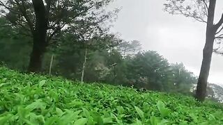 mountainous nature