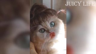 Funny Peoples Life???? - Fails, Pranks and Amazing Stunts | Juicy Life???? 7