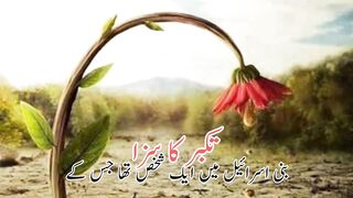 Takabbur ki saza(تکبرکی سزا)