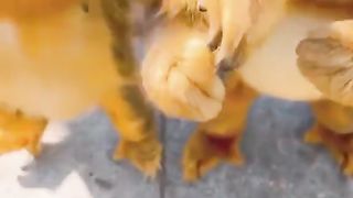 snack time