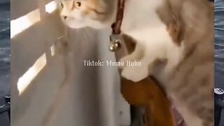 Funny moments part 5