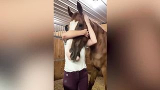 When Animals Showing Love to Human by Their Cute Way - Funny Animal Videos