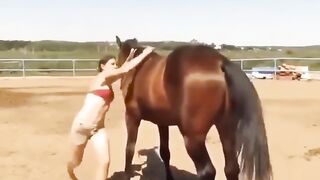 Ce Cheval a 200 de QI ❤