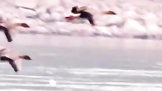 تلاوت قرآن پاک 3