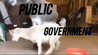 Government V/S Public