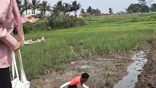 Jatuh ke sawah