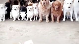 Best funny video # new clip 2023