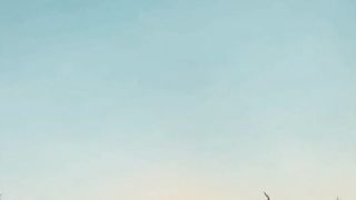 Live Motivation 27
