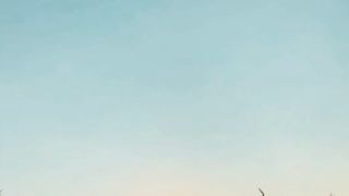 Live Motivation 28