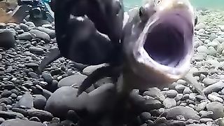 relaxing video 3