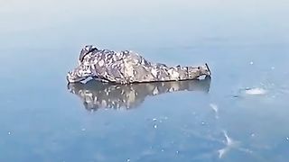 COMEDY VIDEO