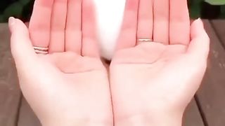 Dasar Asu...!!!