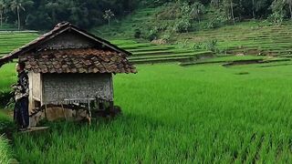 Alam yang sangat Natural