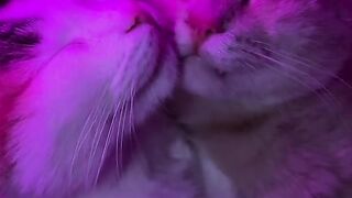 So cutee????