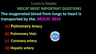 The oxygenated blood from lungs to heart is transported by the:#biology #mdcatbiology #numsbiology #eteabiology