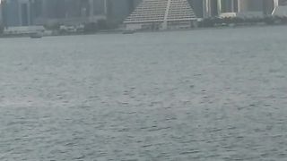 Live from Qatar