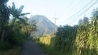 Montain salak