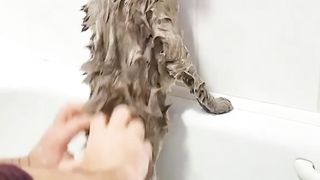 Нормально