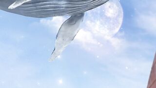 Sky fantasy