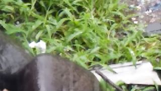 Today is rain