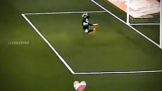 Cat playing Football