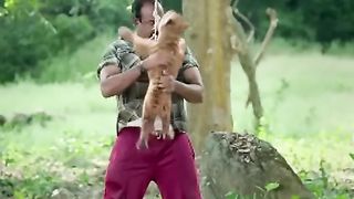 Lion Fighting