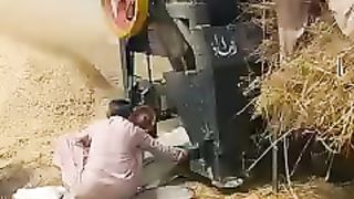 Wheat cutting 3
