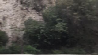 Mountan beauty