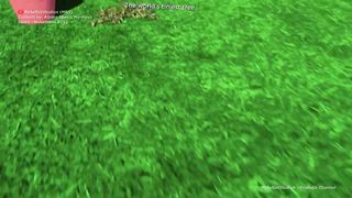 The Tallest TREES in the World ???????????? 3D Comparison