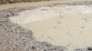 Proses mina padi