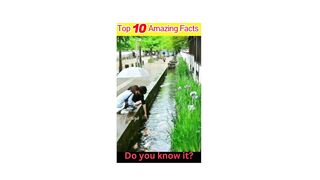 Amazing Facts 8