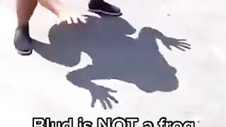 Funny Meme Video :D