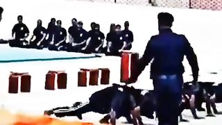 Find 'pakistan army tiktok video 2