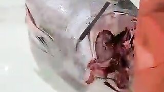 Skill tuna cutting