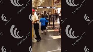 17 Moments Soldiers coming home surprise