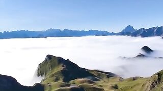 beauty and freedom