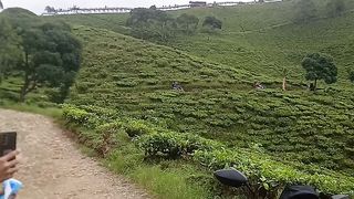Selamat pagi dunia tipu tipu ????