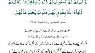 میری  جَانب بھی ہو اِک نگاہِ کرم   اے شفیع الواریٰﷺ، خاتم الانبیاءﷺ