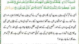 میری  جَانب بھی ہو اِک نگاہِ کرم   اے شفیع الواریٰﷺ، خاتم الانبیاءﷺ 5