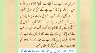 میری  جَانب بھی ہو اِک نگاہِ کرم   اے شفیع الواریٰﷺ، خاتم الانبیاءﷺ 6