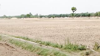 Land preparation for crop
