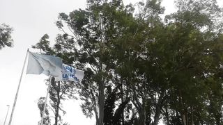 UNHCR and UNO flags